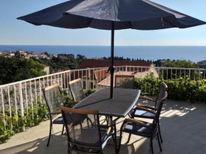 Apartment Plavo Nebo